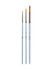 PAINT BRUSH SET