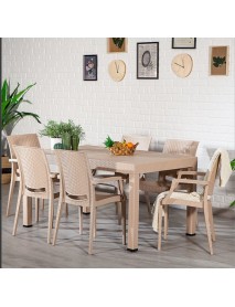 RATTAN RECTANGULAR TABLE CAPPUCINO