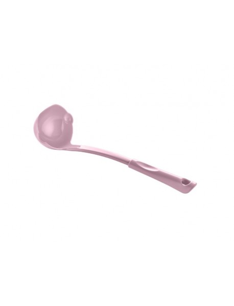 Ladle